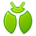 Bug Bug