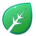 Grass Grass