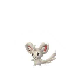 Minccino