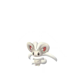 Cinccino