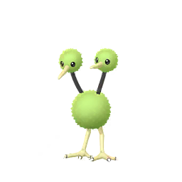 Doduo Doduo
