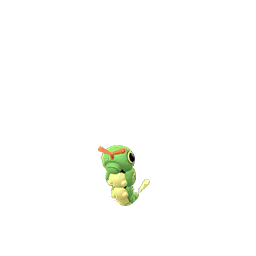 Caterpie Caterpie