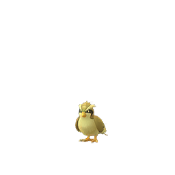 Pidgey Pidgey