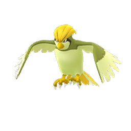Pidgeotto Pidgeotto