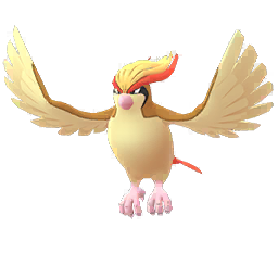 Pidgeot Pidgeot