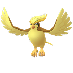 Pidgeot Pidgeot
