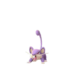 Rattata Rattata