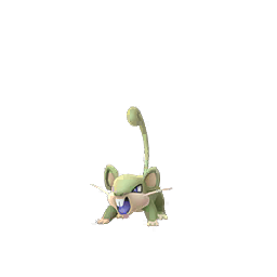 Rattata Rattata
