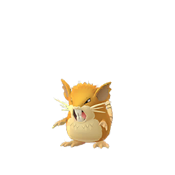 Raticate Raticate
