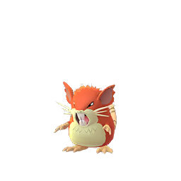 Raticate Raticate
