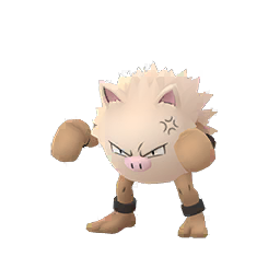 Primeape Primeape