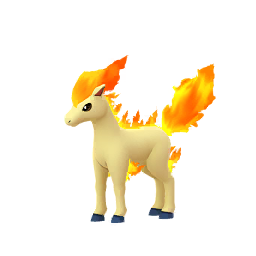 Ponyta Ponyta
