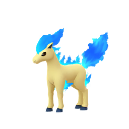 Ponyta Ponyta