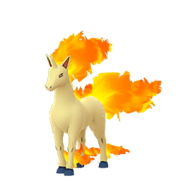 Rapidash Rapidash