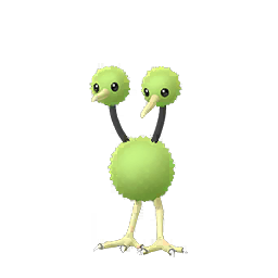 Doduo Doduo