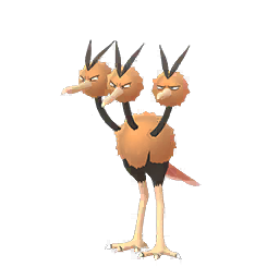 Dodrio Dodrio