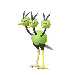Dodrio Dodrio