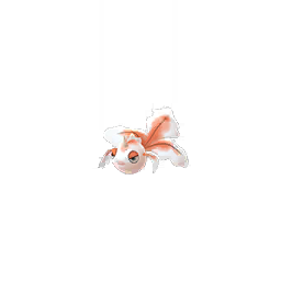 Goldeen Goldeen