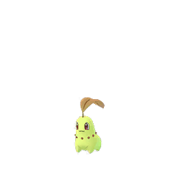 Chikorita Chikorita