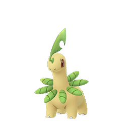 Bayleef Bayleef