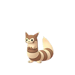 Furret Furret