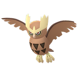 Noctowl Noctowl