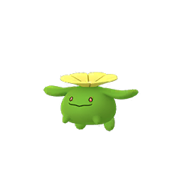 Skiploom Skiploom