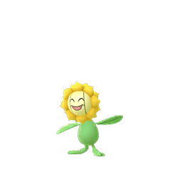 Sunflora Sunflora