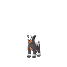 Houndour Houndour