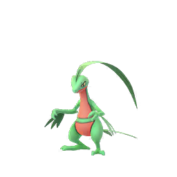 Grovyle Grovyle