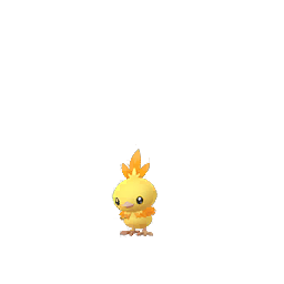 Torchic Torchic