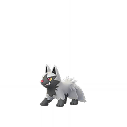 Poochyena Poochyena