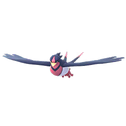 Swellow Swellow