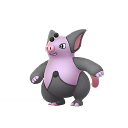 Grumpig Grumpig