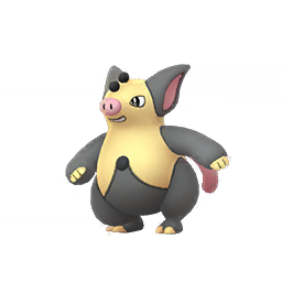 Grumpig Grumpig