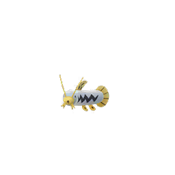 Barboach Barboach