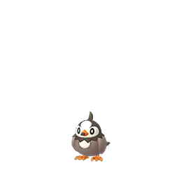 Starly Starly