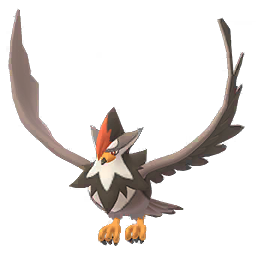 Staraptor Staraptor
