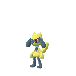 Riolu Riolu