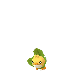Sewaddle Sewaddle