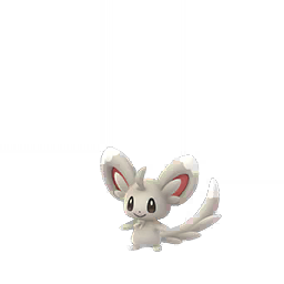 Minccino Minccino