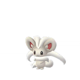 Cinccino Cinccino